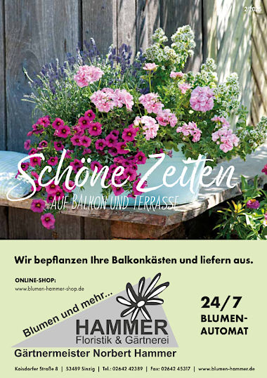 Blumen Hammer Prospekt 'Schöne Zeiten' 2025